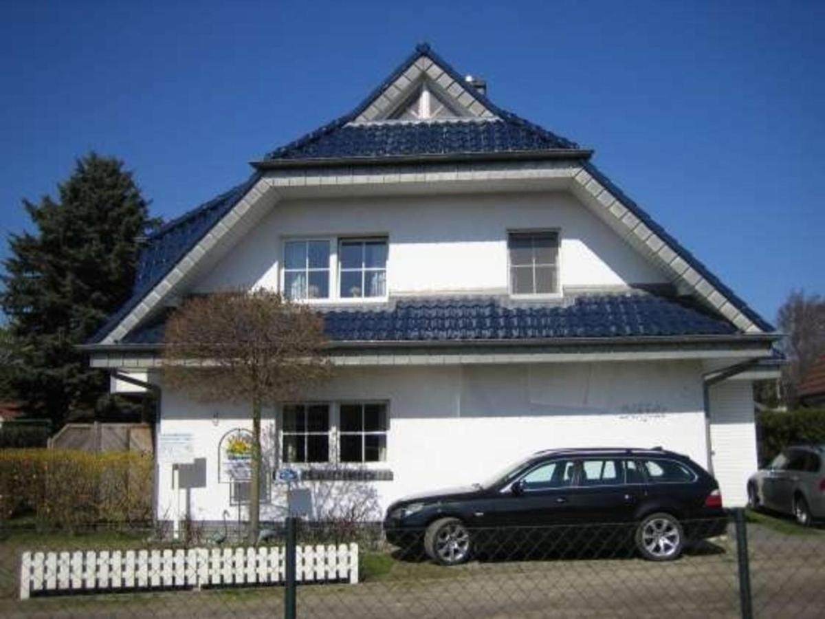 Igel Leilighet Zingst Eksteriør bilde